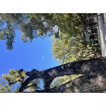 れい