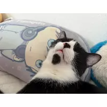 サキ