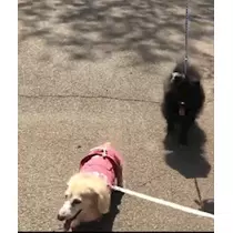 ティナ