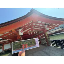 ミイ