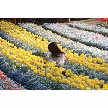 あいり