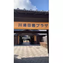 あや