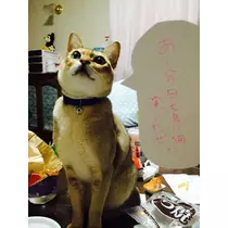 のあ