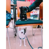 じゅん