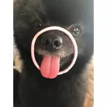 ティナ