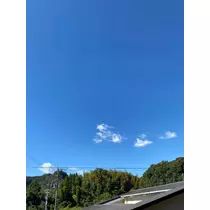 さや