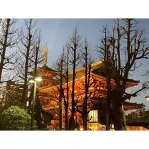 美波 なつ