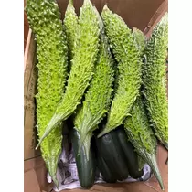 りょう