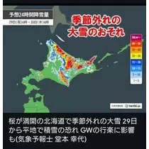 ひな
