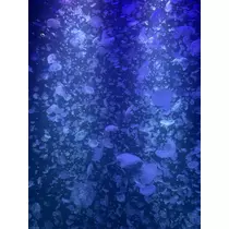 みら