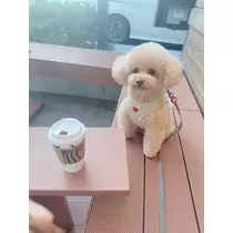 夏目 梨仔