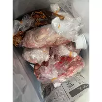 長瀬 純恋