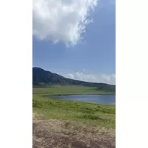 あみ