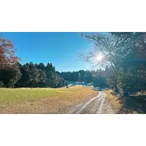 あすか