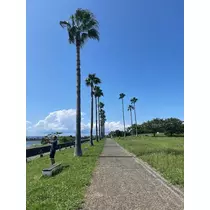 いずみ
