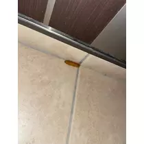 椿 凜音