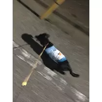 りえ