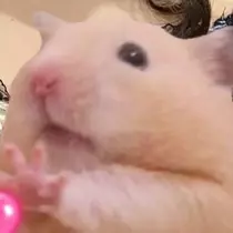 はる