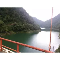 里穂