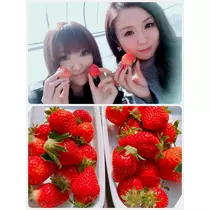 美穂