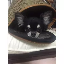 みあ