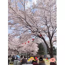 りな