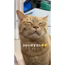 水城 百合