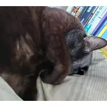 こは