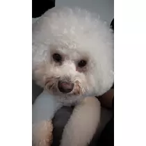 あこ