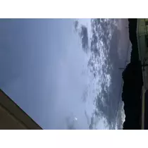 もも