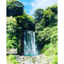 ゆかり