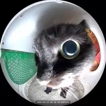むぅ