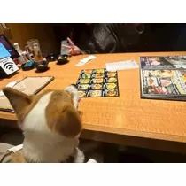足立 はな