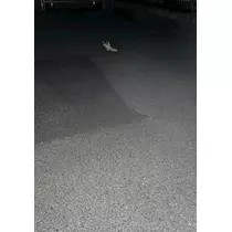 みさと