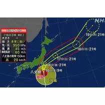 紫音