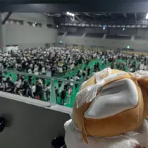 サヤ