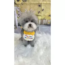 うづき ふうか