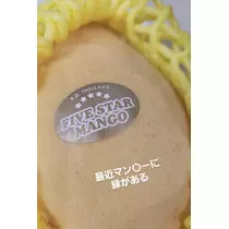 紫音