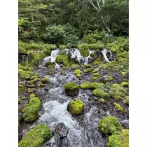 春野 七瀬