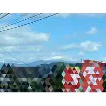 さや
