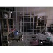 愛羽 仁美
