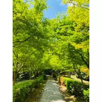 ゆかり