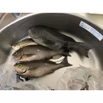 もね