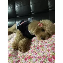 白石 愛莉