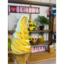 西園寺 ゆきみ