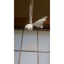 愛矢