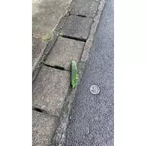 かずは