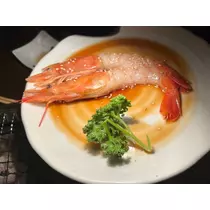 乙川 ゆあ