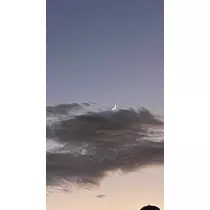 かずは