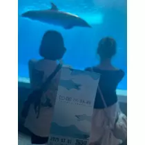へべれけ酔拳あや